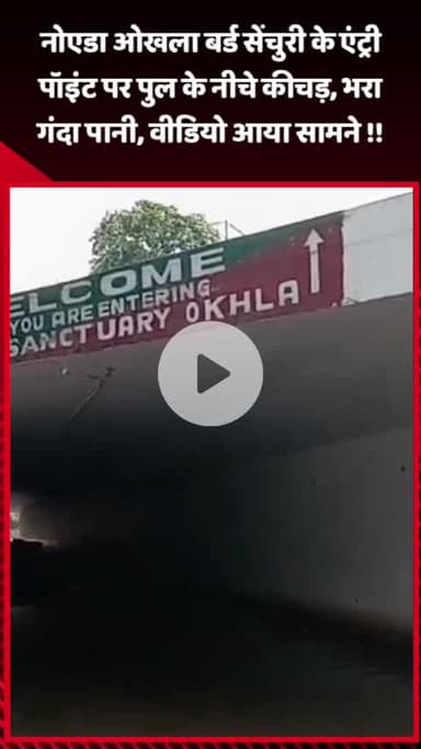 गौतम बुद्ध नगर: नोएडा ओखला बर्ड सेंचुरी के एंट्री पॉइंट पर पुल के नीचे कीचड़ और गंदा पानी, वीडियो आया सामने
