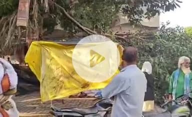 करछना: करछना तहसील में पीपल का डाल अचानक टूटकर गिरने से कई अधिवक्ताओं की बाइक हुई क्षतिग्रस्त