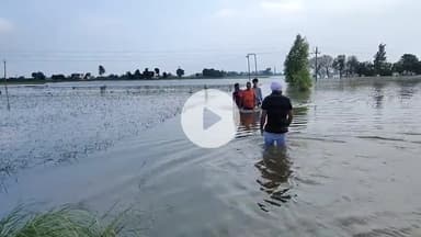 ਅੰਮ੍ਰਿਤਸਰ 2: ਅਜਨਾਲਾ ਦੇ ਸੁਲਤਾਨ ਮਾਹਲ ਪਿੰਡ ਹੜ ਦੀ ਚਪੇਟ 'ਚ , ਲੋਕ ਛੱਤਾਂ ਤੇ ਬੈਠ ਕੇ ਪਾਣੀ ਘਟਣ ਦਾ ਕਰ ਰਹੇ ਇੰਤਜ਼ਾਰ