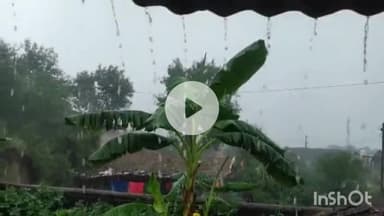 बेमेतरा: बेमेतरा जिला में चालू बारिश सीजन के दौरान 448 मिलीमीटर औसत वर्षा दर्ज, जिला भू अभिलेख शाखा ने दी जानकारी