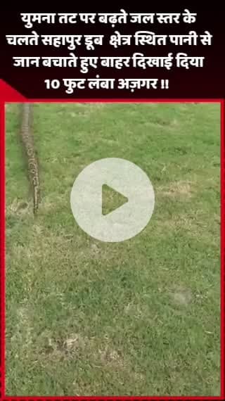 जेवर: युमना तट पर बढ़ते जल स्तर के चलते सहापुर डूब क्षेत्र में पानी से जान बचाते हुए 10 फुट लंबा अज़गर बाहर दिखाई दिया