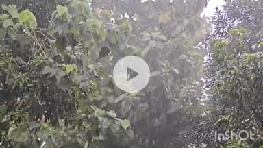 गढ़वा: झारखंड में मानसून का कहर जारी, बंगाल की खाड़ी में निम्न दबाव से लगातार बारिश, 6 सितंबर तक बारिश की संभावना