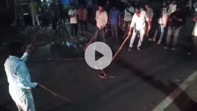 प्रतापगढ़: प्रतापगढ़ में चिलबिला हाईवे पर अजगर निकला, जिससे दहशत फैली