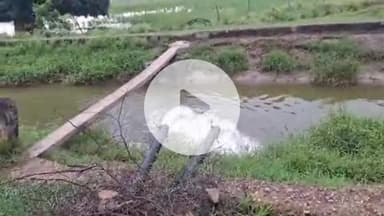 पीपलदा: इटावा क्षेत्र में लगातार बारिश से खेतों में पानी भरने से फसलें नष्ट होने की कगार पर, किसान पंप लगाकर निकाल रहे हैं