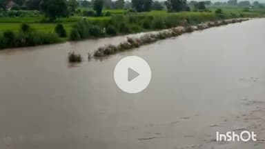 पलवल: यमुना नदी के बढ़ते जलस्तर को लेकर पलवल प्रशासन अलर्ट पर