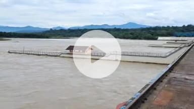 हरिद्वार: पहाड़ों पर भारी बारिश के कारण उफान पर बह रही गंगा नदी, भीमगोडा बैराज पर खतरे के निशान के करीब