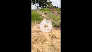 अजयगढ़: तार बाड़ी लगाकर बस्कूल का रास्ता रोका, बच्चों का भविष्य खतरे में