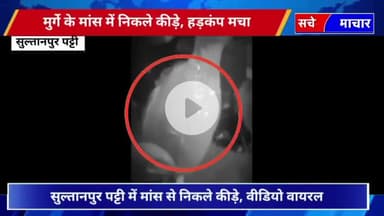 chicken mein nikale kide