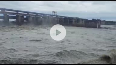 जगाधरी: हथिनी कुंड बैराज से 1,70,000 क्यूसेक पानी दिल्ली की ओर छोड़ा गया, जलस्तर बढ़ा