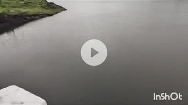 धार: धार जिले में झमाझम बारिश जारी, कालीकराई बांध में पानी की आवक बढ़ी, बारिश को लेकर यलो अलर्ट जारी