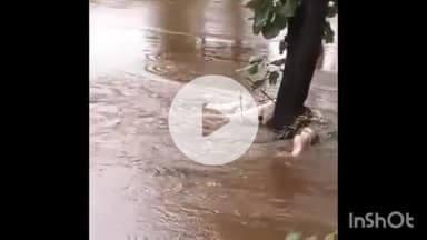 ताल: तीन दिन से लापता बुजुर्ग महिला का शव काचला नाले में पेड़ से अटका मिला, वीडियो वायरल