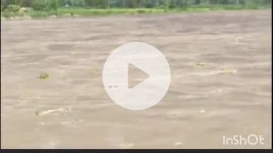 पलवल: फरीदाबाद डीसी के सामने यमुना में दिखा शव, दिल्ली से आकर पलवल की ओर बहा, पहचान बाकी