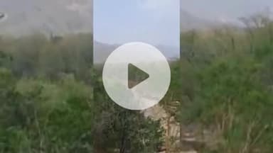 बलरामपुर: सुहेलदेव वन्य जीव अभ्यारण्य को मिलेगा टाइगर रिजर्व का दर्जा, वन विभाग ने स्टेट वाइल्डलाइफ बोर्ड को भेजा प्रस्ताव