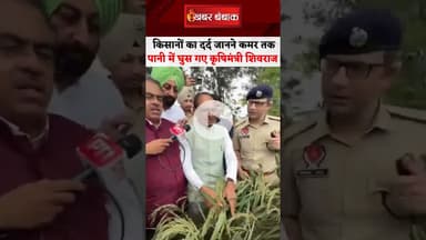 Punjab Flood में पीड़ित किसानों का हाल जानने पानी में घुस गए Shivraj Singh Chouhan #shorts #punjab