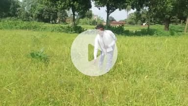 डोमचांच: फसल बर्बाद होने पर पूर्व पंचायत समिति सदस्य प्रतिनिधि मसमोहना डोमचांच ने मुआवजे की मांग की