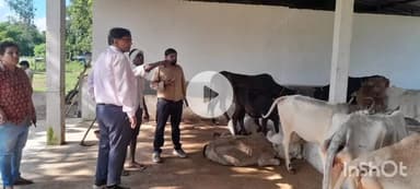 जिलाधिकारी व पुलिस अधीक्षक ने बीसलपुर क्षेत्रान्तर्गत बाढ़ प्रभावित क्षेत्रों का लिया जायजा। 

बाढ़ से प्रभावित लोगों को ह