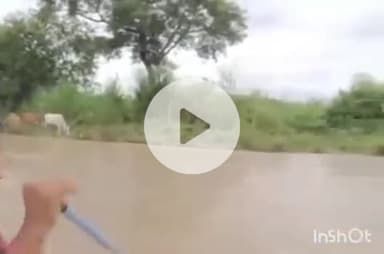 हरिद्वार: मंगलवार देर रात राजघाट पर गणेश विसर्जन के दौरान गंगा में बहे युवक का शव काफी खोजबीन के बाद मिस्सरपुर में बरामद