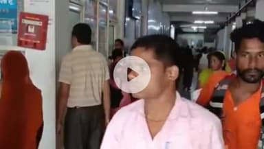 सिंगरौली: सिंगरौली में मलेरिया के आंकड़ों में विभाग और निजी लैब में अंतर, सरकारी विभाग का दावा- 2 साल में 13 मामले