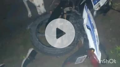 मेड़ता: रिया बड़ी में आवारा जानवरों के झुंड के कारण बाइक सवार की हुई मौत