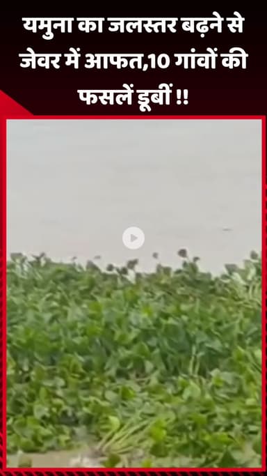 जेवर: यमुना का जलस्तर बढ़ने से जेवर में आफत, 10 गांवों की फसलें डूबीं