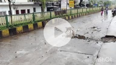 पुष्पराजगढ़: अमरकंटक में बंदरों का आतंक बढ़ा, प्रशासन और वन विभाग की सुस्ती से लोग बेहाल