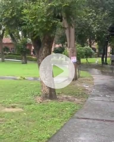 जगाधरी: ओपी जिंदल पार्क में मिला बुजुर्ग व्यक्ति का शव, पहचान नहीं होने पर पुलिस ने शवग्रह में रखवाया