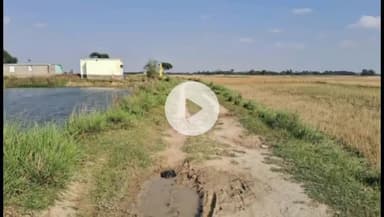 उतरौला: उतरौला ग्रामीण क्षेत्र में 78 साल आज़ादी के बाद भी सड़क नहीं बन पाई, सड़क बनाने को लेकर किसान ने की मांग