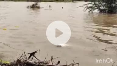 ताल: आक्याकला पुलिया चंबल नदी में बुजुर्ग ने कूदकर की आत्महत्या, मौके पर पहुंची पुलिस