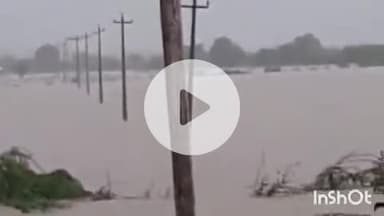 पलवल: पलवल में यमुना का जलस्तर खतरे के निशान के करीब, 20 गांवों की फसलें डूबीं, दो गांव से लोग कर रहे पलायन