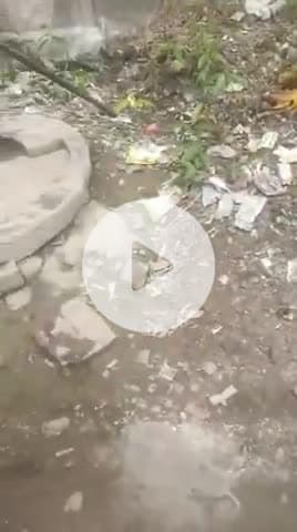 Gao Aunton Dibiyapur ke pas Distik Auraiya post gullariya #allindia@honeyporwal57