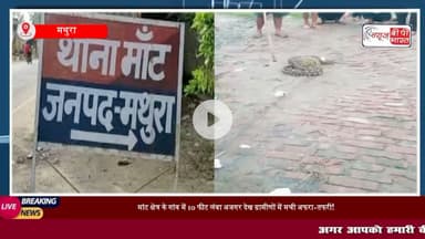 थाना मांट क्षेत्र के गांव पारासर में निकला 10 फीट लंबा अजगर, मौके पर मची अफरा-तफरी
#मथुरा #मांट #पराशर #साप