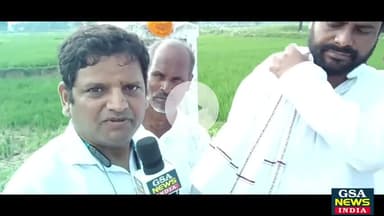 संदीप सौरव, पालीगंज विधायक से बातचीत, नरेंद्र मोदी को ड्रामेबाज कहा 
#BiharBandh #paliganj #cpiml #Jahanabad