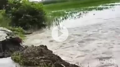 पलवल: यमुना में बढ़ते जल स्तर से मोहना से बागपुर को जोड़ने वाली सड़क टूटी