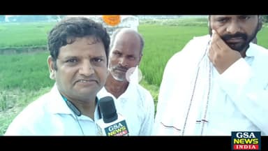 संदीप सौरव, पालीगंज विधायक से बातचीत, नरेंद्र मोदी को ड्रामेबाज कहा 
#BiharBandh #paliganj #cpiml #Jahanabad