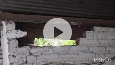 ठाकुर बाबा रोड स्थित शराब दुकान में चोरी, CCTV में कैद हुई चोर की करतूत, नगदी और शराब की बोतलें ले गए