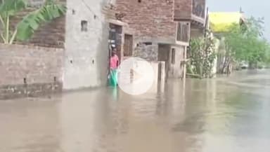 मथुरा: वृन्दावन: बाके बिहारी नगरी में बाढ़ से हालात बेकाबू, सैकड़ों मकान डूबे