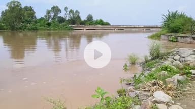 थानेसर: गांव झांसा में मारकण्डा नदी उफान पर, पुराना पुल बंद, 24 घंटे पुलिस तैनात, SYL नहर में पानी छोड़ा