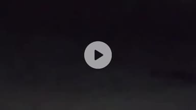 थानेसर: कुरुक्षेत्र के ज्योतिसर गांव में सिंचाई विभाग के रेस्ट हाउस में मिला मगरमच्छ, किया रेस्क्यू