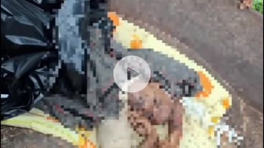 अजयगढ़: हनुमतपुर चौकी के बनहरी कलां में आकाशीय बिजली गिरने से 55 वर्षीय शख्स की मौत