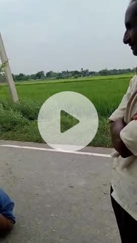 Mere ganv ki hariyali Dekho kitani acchi hai