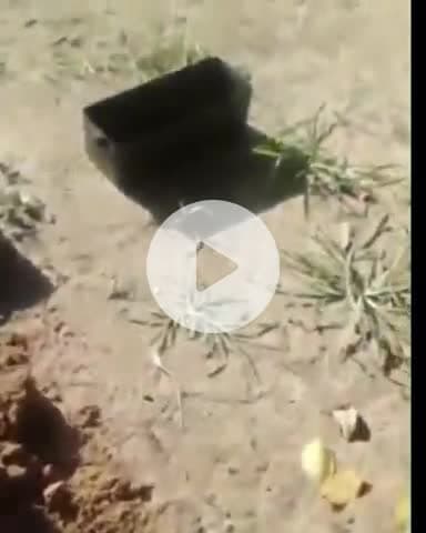 जगाधरी: मछरौली गांव में रात के अंधेरे में चोर ट्यूबवेल की तारें काट ले गया, पुलिस में शिकायत दर्ज