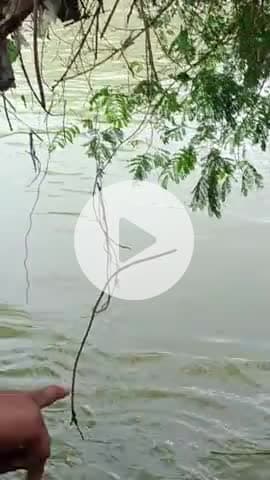 खेड़ा रामपुर की चंद्रलोही नदी के घाट पर मिला अज्ञात शव #kota #kotacity # khaitoon #Rajasthan #viral