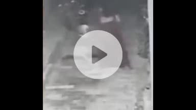 झांसी: झांसी के चित्रकूट कॉलोनी में एक पिटबुल कुत्ते ने 55 वर्षीय महिला पर किया जानलेवा हमला, घटना का सीसीटीवी सामने आया