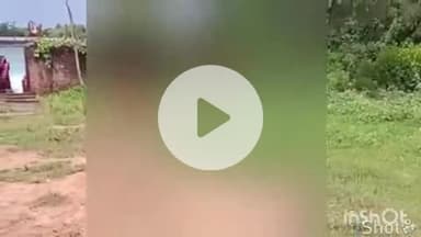 ब्यौहारी: ब्यौहारी के भोलहरी में रास्ते के विवाद में शख्स ने महिला को दिखाया प्राइवेट पार्ट, वीडियो वायरल