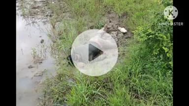 खुरई: देहात थाना पुलिस लाश उठाने शव वाहन लेकर पहुंची, तभी ग्रामीण के साथ पुलिस द्वारा उठाई जा रही लाश बोली- मैं जिंदा हूँ