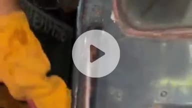 हरिद्वार: भूपतवाला में पीएसी की गाड़ी में विशालकाय अजगर घुसने से मची अफरा-तफरी, वन विभाग की टीम ने किया रेस्क्यू