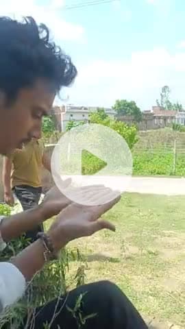 #trump #हुआ 🌿सुर्फा🌿 का #आशिक #comedy #funny #trending #viral #ytshorts #2025shorts #memes