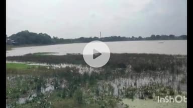 धार: धार में बारिश के बावजूद मुंज तालाब खाली, रेलवे और फोरलेन निर्माण से रुकी आवक