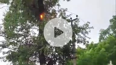 प्रतापगढ़: दीवानगंज फिडर की 11 हजार की लाइन में शुक्रवार रात से निकल रही चिंगारी, तार कटकर गिरने की संभावना