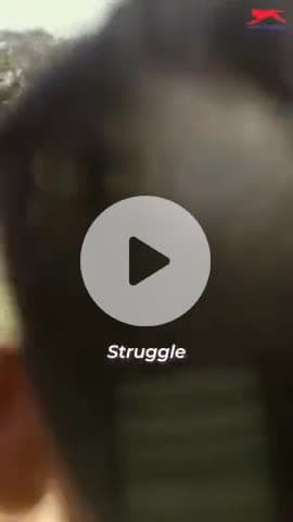 चूरू: Tejas Enterprises 
Bhatiwal plaza pankha circle Churu 
ph 9810515300